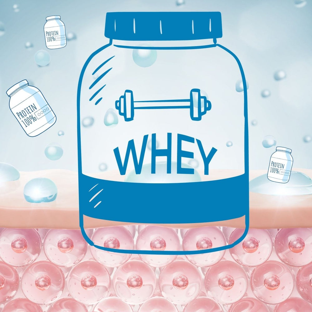Why is whey protein the superior protein? - BODIE*Z
